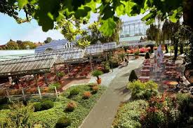 Unser dehner markt in stuttgart öffnungszeiten und veranstaltungen persönliche, kompetente beratung dehner qualität riesige auswahl an pflanzen, gartenmöbeln, grills, gartentechnik und. Dehner Blumenrestaurant Rain Restaurant Bewertungen Telefonnummer Fotos Tripadvisor