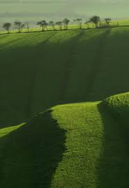 Epingle Par Fernanda Figueiredo Sur Color Block Paysage Amenagement Jardin Nuances De Vert