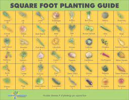 20 Awesome Of 4x8 Raised Bed Vegetable Garden Layout Photo Green House Ideas Square Foot Gardening Square Foot Gardening Plans Vegetable Garden Raised Beds