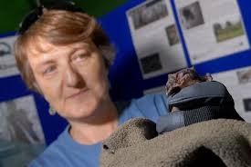 Earley Green Fair picture gallery