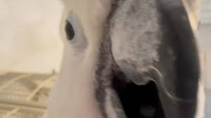 💬 Midweek check-in from...