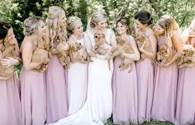Folge deiner leidenschaft bei ebay! Photo Of The Day May 30 Puppy Wedding Wedding Pretty Bridesmaid Dresses