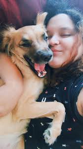 Help Reuniting with Dogs Left Behind in Qatar After Deportation