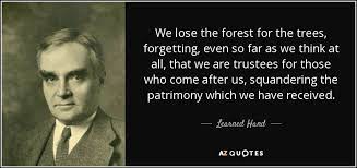 Learned Hand Quote We Lose The Forest For The Trees Forgetting Even So