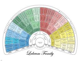 Genealogy Wall Charts