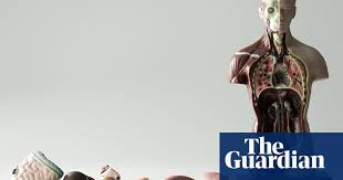 Our bodies consist of a number of biological systems that carry out specific functions necessary for everyday living. Situs Inversus And My Through The Looking Glass Body Human Biology The Guardian