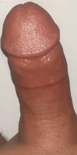 Penis porn - AdultImgShare