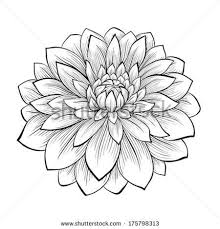 Kaitlyn Bright Dark Blue Sapphire Aster With Images Dahlia Flower Tattoos