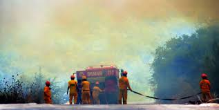 Güncel gelişmeler milas'ın haber sitesinde. Bu Kez Milas Kiyikislacik Ta Orman Yangini Basladi Haberler Gundem