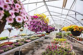 Maybe you would like to learn more about one of these? Frey S Greenhouse In Lancaster Pa