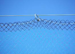 Definitely need to close up every gap at the bottom or a bird will find it's way in though. Fruit Tree Netting Smart Net Systems Industrial Netting Systems