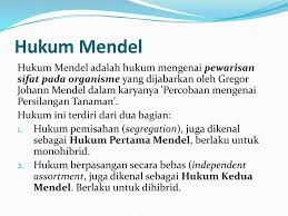 Search across a wide variety of disciplines and sources: Hukum Mendel 1 Dan Ppt Download