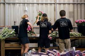Check spelling or type a new query. The Flower Market Perth