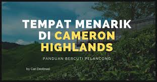 Cameron highlands is situated in pahang, west malaysia. 35 Tempat Menarik Di Cameron Highland Edisi 2021 Yg Popular