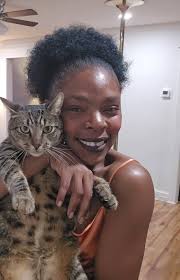 Photo of a cat and its sibling