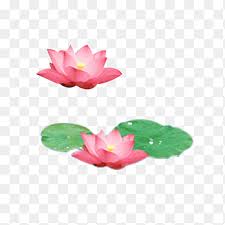 Maybe you would like to learn more about one of these? Lotus Lake Png Images Pngegg