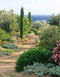 Florez Nursery Parc De Saleccia Corsica Mediterranean Garden Design Mediterranean Garden Mediterranean Landscaping
