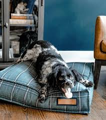 Proudly serving canada from our canadian headquarters in winnipeg. Inspiration Guide To Buying A Long Lasting Dog Bed