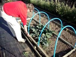 How to make a portable garden. How To Make A Portable Netted Hooped Crop Plant Protecting Cloche Keeps Out Birds Butterflies Youtube