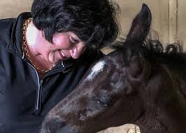 Elizabeth "Betsy" Juliano Archives