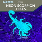 Fall Neon Scorpion Hikes