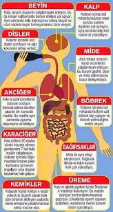 Kolanin Mukemmel Faydalari Saglik Saglikli Yasam Tarzi Dogal Saglik