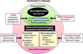 Image result for Behavior Problems in Dementia