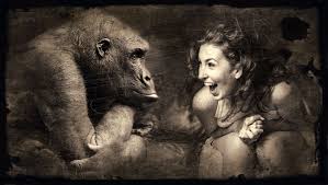 An 80yr old couple were seen shagging furiously up against a fence. Funny Stories That Might Kill You Quitpit Com