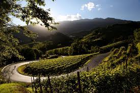 16° edizione per la 100miglia sulla strada del conegliano valdobbiadene. Weintourismus In Conegliano Valdobbiadene Die Touren Prosecco It Conegliano Valdobbiadene Just Another Wordpress Site