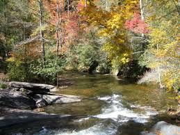 Jul 19, 2021 · representing the 3rd district of north carolina. There S Gold In The Valley River Of Murphy North Carolina