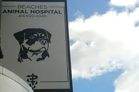 About Us Beaches Animal Hospital Toronto On Veterinarian