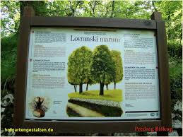 Einzigartig 40 Zum Trampolin Fur Den Garten Check More At Https Www Estadoproperties Com Trampolin Fur Den Garten Garten Gestalten Garten Gestalten