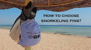 Best Snorkeling Fins 2019 Guide Reviews Snorkel Around