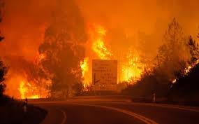 Las problemáticas más allá del fuego. Incendios 2020 Metade Dos Donos Nao Limpa Terrenos Por Falta De Dinheiro Coronavirus Jornal De Negocios