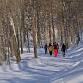 Wintertime in the Woods: New Year Guided Hike event image