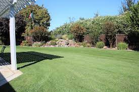 Year after year, nearly 80% of our. Jb S Landscape