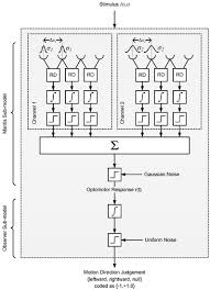 Processes move from detection of basic features through more complex detectors; Vision Free Full Text Apparent Motion Perception In The Praying Mantis Psychophysics And Modelling Html