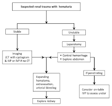 Image result for Genitourinary Trauma