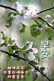 Pin On Greeting Raining