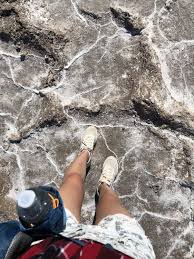 Since that answer is now 4 years out of date, and the list has almost doubled, i've followed those steps to extract the updated list of english. Wallpaper Sport Climbing Belay Device Bouldering Climbing Water Background Download Free Image