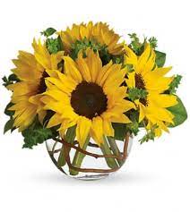 We are your local family florist, and are committed to offering only the finest floral arragnements and gifts backed by friendly prompt service. Portland Me Florist Same Day Flower Delivery In Portland Me Dodge The Florist Inc
