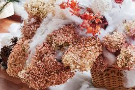 Hydrangea Im Topf Uberwintern Kubelpflanzen Winterhart Uberwintern Hortensien