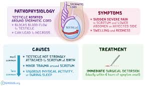 Some of the other wordpress lead generation plugins are built like suites,. Testicular Torsion What Is It Causes Pain Appearance Treatment And More Osmosis