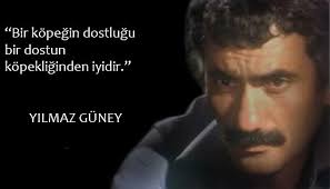 Filmlerden Kareler On Twitter Bir Kopegin Dostlugu Bir Dostun Kopekliginden Iyidir Yilmazguney