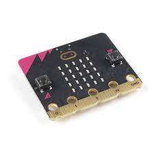 Internet Protocol with MicroBits