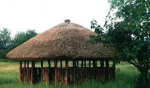 Thatch is the best insulated roofing available to man. Thatch Kinder Mit Behinderungen