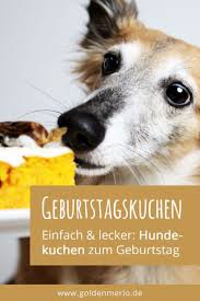 Zum 10 Geburtstag Ein Hundekuchen Fur Merlin In 2020 Hunde Kuchen Hundekuchen Geburtstagskuchen Fur Hunde