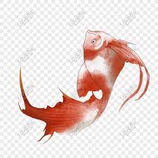 35 Ideas For Ornamen Ikan Koi Tasya Kuhl
