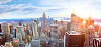 Among the topics sport management majors study are sports economics, a sociological analysis of sports in society, accounting, management theory, business law, sport information management, sport marketing. Top Universities In New York City Columbia Or Nyu Top Universities