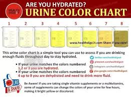 what do the different shades of your urine mean quora